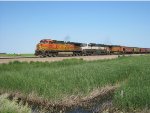 BNSF 4905